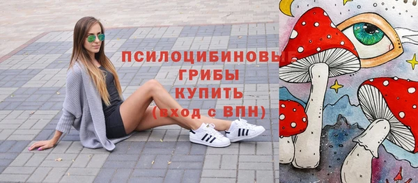 героин Алексин